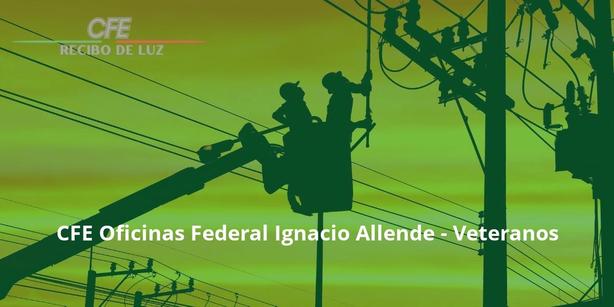 CFE Oficinas Federal Ignacio Allende - Veteranos
