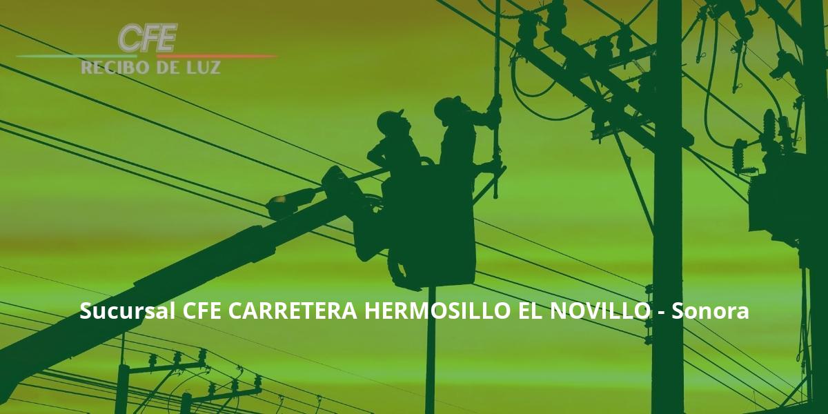 Sucursal CFE CARRETERA HERMOSILLO EL NOVILLO - Sonora