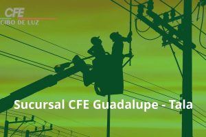 Sucursal CFE Guadalupe – Tala